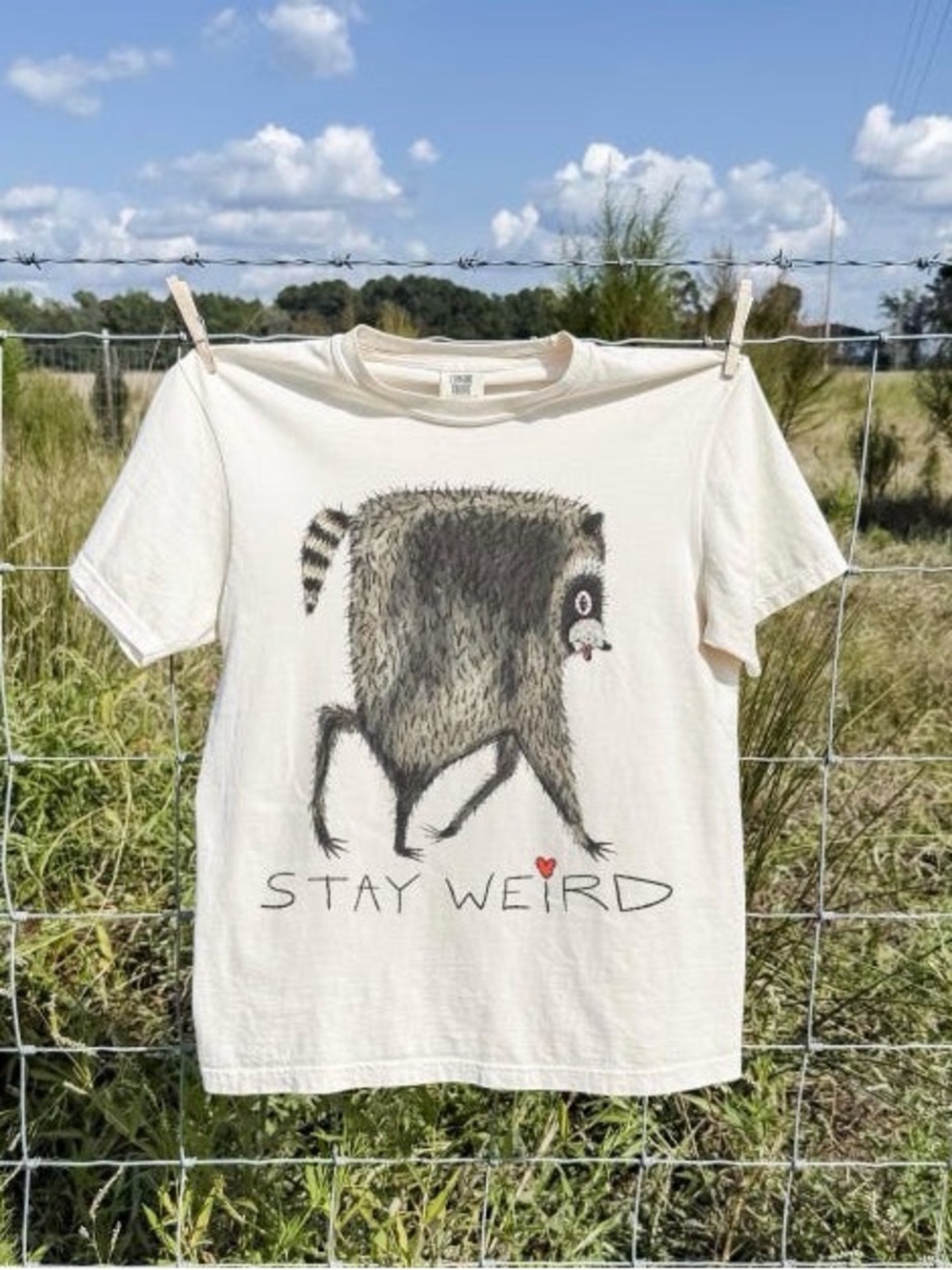 Jimothy Raccoon Shirt, Stay Weird Comfort Colors Tee, Viral Raccoon Meme T-Shirt